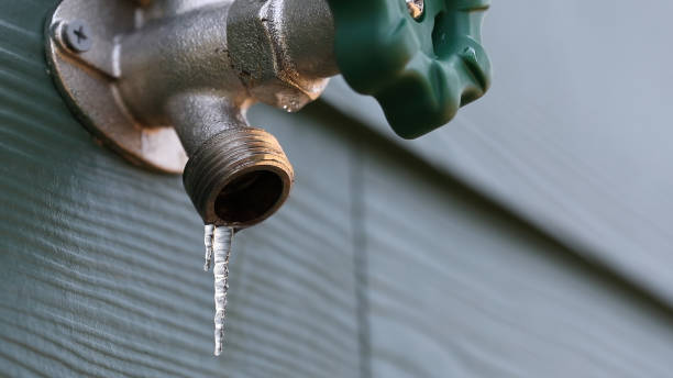 Best Plumbing Repair Near Me  in Paris, IL